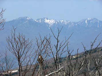 栃木　鶏頂山